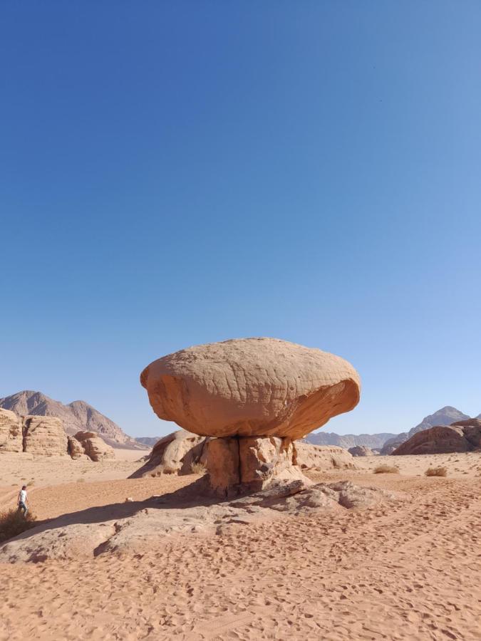 Wadi Rum Camels Camp Dış mekan fotoğraf