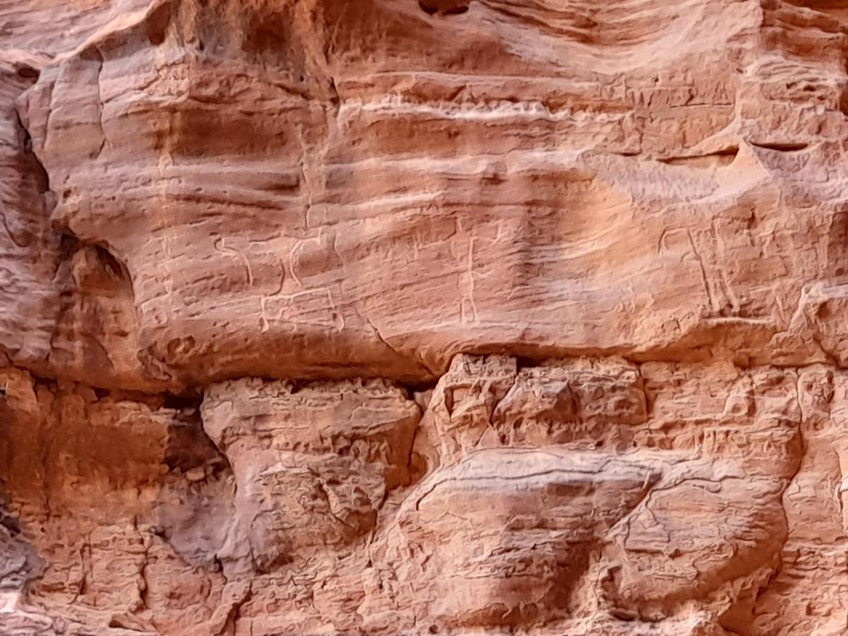 Wadi Rum Camels Camp Dış mekan fotoğraf
